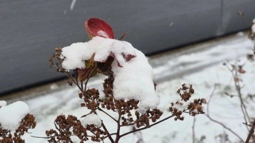 Морозы на Сахалине и тепло на Курилах
