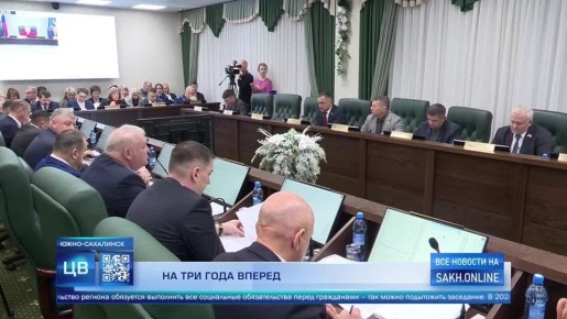 Депутаты Сахалинской областной думы рассмотрели и приняли в первом чтении проект бюджета на ближайшие три года