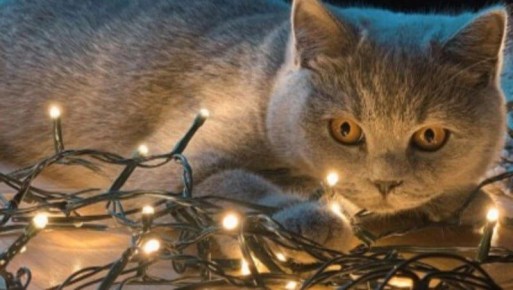 Травматология и часть Южно-Сахалинска останется без света 11 декабря