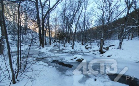 Ветер до 20 м/с поднимется на побережье Сахалина