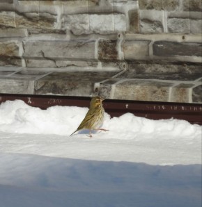Штормовой ветер и до 27 градусов