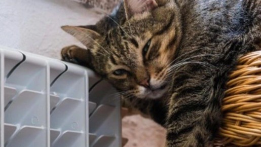 Детские сады и четыре улицы Южно-Сахалинска останутся без отопления 12 декабря