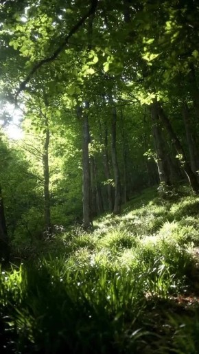  !.             (1928  1979),    (1925  2017),    (1951),   ...