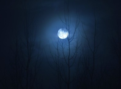   .     @Sakhalin65_Ostrov 