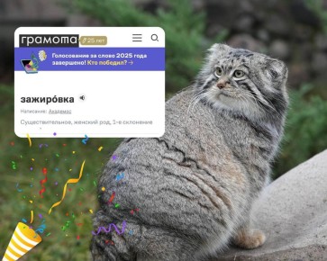 Слово «зажировка» официально пополнило метасловарь русского языка