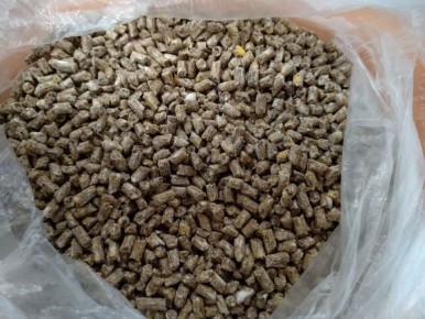 Кормление бройлеров: можно ли использовать комбикорм для несушек?