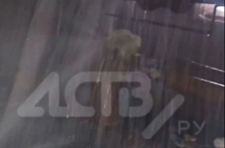 "Трубу разорвало до вентилей": в Южно-Сахалинске уже неделю заливает подвал дома
