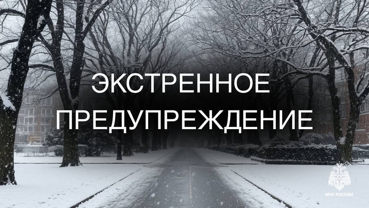 Метель и ураганный ветер спрогнозировали в пяти районах Сахалинской области