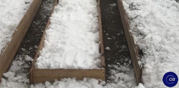 Зачем снег в теплице: важность зимнего укрытия для садоводов