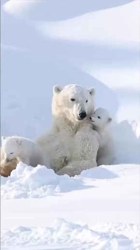 Доброе утро!. Сегодня День памяти журналистов, погибших при исполнении профессиональных обязанностей В этот день родились физик Антуан Анри Беккерель (1852 – 1908) и актёр Игорь Угольников (1962)
