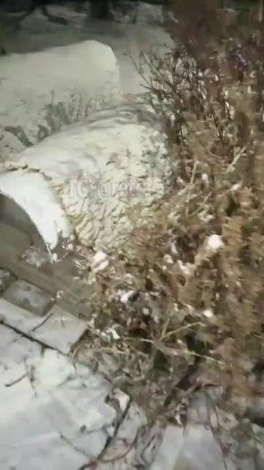 Специальные зимние домики для уличных кошек устанавливают в Китае