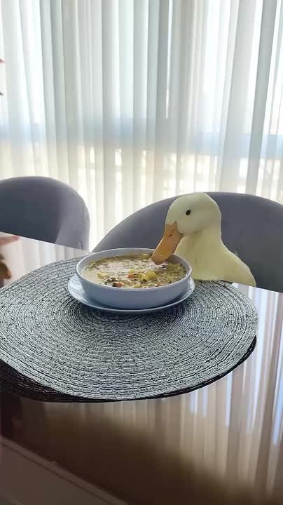 Доброе утро. 15 декабря древние славяне заваривали чай на целебных травах