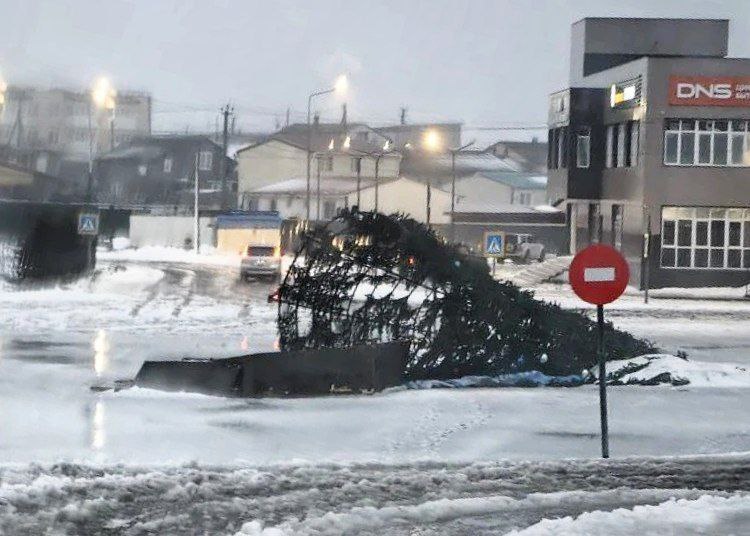 Ёлка в Южно-Курильске упала из-за мощного циклона