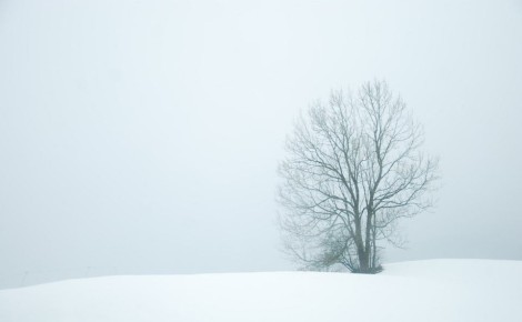 ������ �� ���������: ������ ����������� �� ������ �������� � ���� �� 17 �������