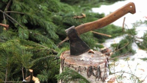 �� �������� � ������� � ������ ���� ��������� 4,5 ������ ������� ��������