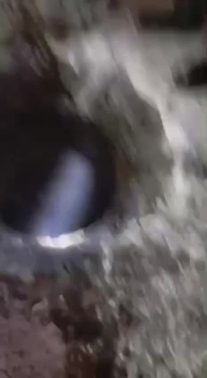 � ����-���������� ������������� �� �������� ���� ������� ���������, ������� ������������ ����������