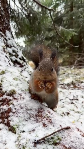 Доброе утро!. Сегодня День курьера и День фельдъегерской связи в России В этот день родились телеведущая, фотомодель Оксана Фёдорова (1977) и актриса Елена Ксенофонтова (1972)