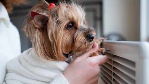 Сотни жителей Южно-Сахалинска остались без отопления и горячей воды 17 декабря