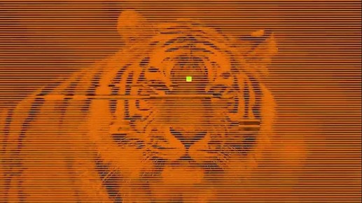 ���������� ������� ��� �������� � ����-����������