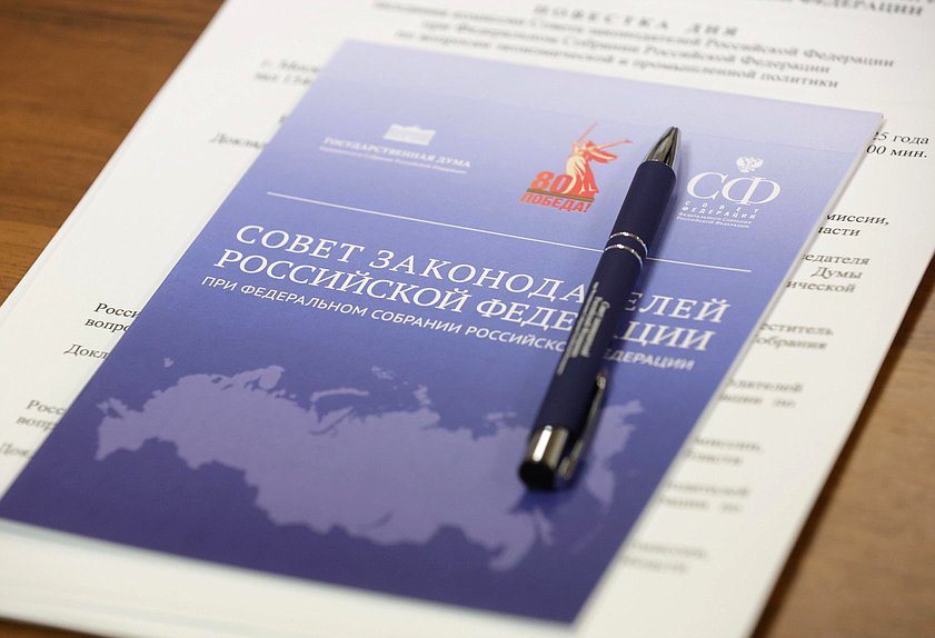 Елена Касьянова выступила с докладом на заседании комиссии Совета законодателей РФ по вопросам социальной политики Елена Касьянова выступила с докладом на заседании комиссии Совета законодателей РФ по вопросам социальной политики