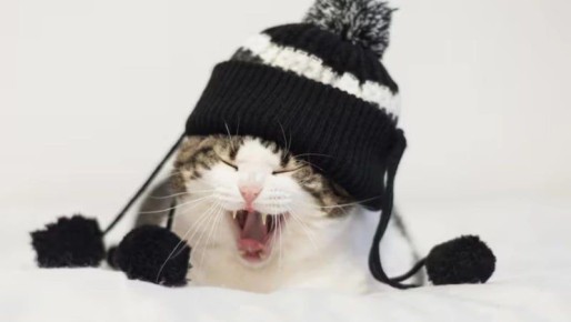 Детский сад и несколько домов Южно-Сахалинска проведут 18 декабря без отопления