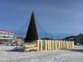 Главную ёлочку Холмска откроют 20 декабря — жителей зовут на праздник