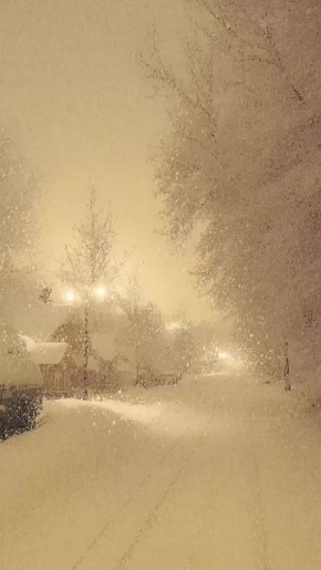 ������ ����!. ������� ���� ��������� ������� ������������ ���������� ���������