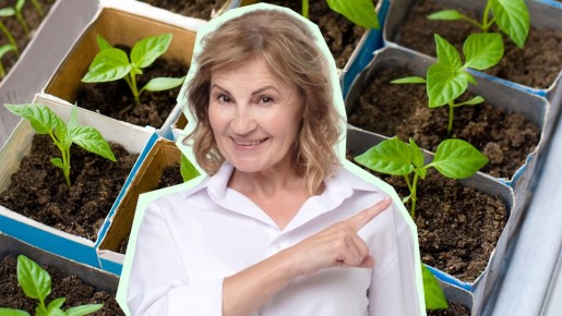 ���� ������, � � ������ ������� ����� ������: ��������� ���� ������� ��������