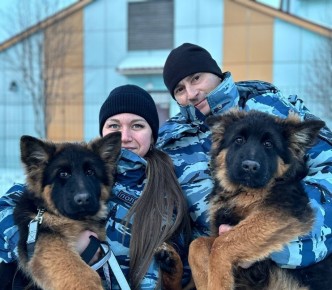 Сотрудники Центра кинологический службы УМВД России познакомили сахалинцев со своими пушистыми коллегами
