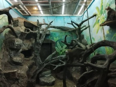 ����� � ����� ������������� ������ �� ������������� ������ ������������ � ���� ��������� � ����������� �������