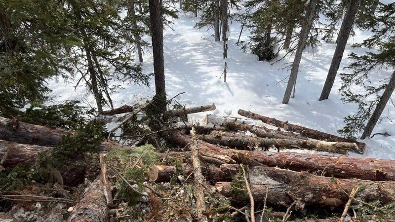 ����� 91 ��� ������ �������� ����������� �������� �� ����������� �������� � ����� ����