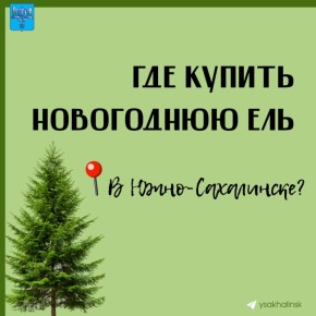 �������� ������ �������� ������� � ����-����������