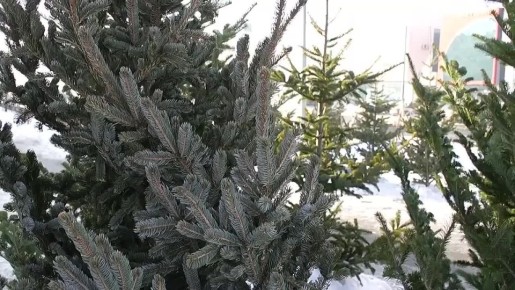 � ����-���������� ���������� ������� ������