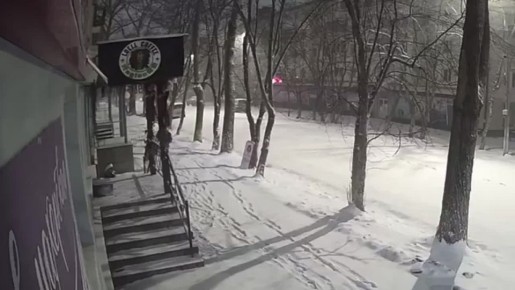 ����������� �����, ������� ����� ����� ���, �������� �� �������� � ���������