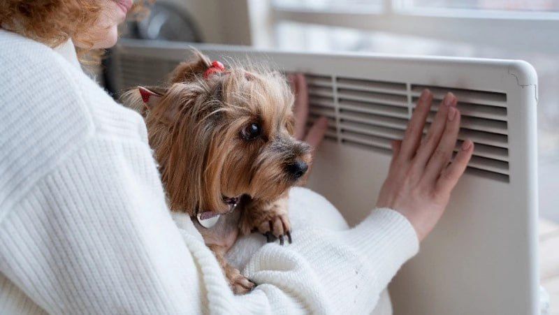 ��������� �������� �� ���� ������ ����-���������� 25 �������