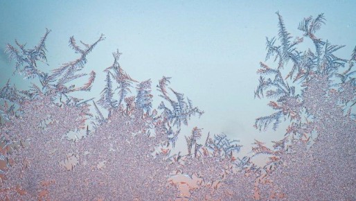 ������ �� �26 �������� � ������ � ��������� ���� ���� �� ������� � ������