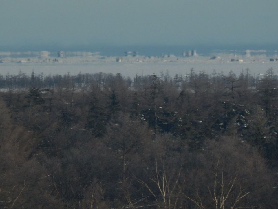 ��������� ������������ � ���������� ������� ��� �����