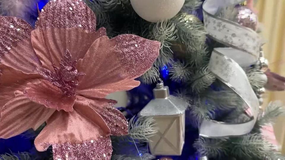 ������������ ������������� ����������� ������� ������� ����� � ������ ������������� ����� ����� ������� �������� ����� 11-������ ���������� ������� ����� ����������