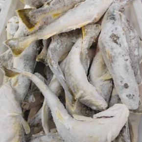 ������ ���� ��������� ����� ���������� ��������������