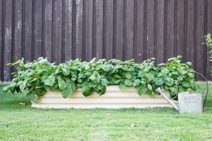 ������� � ����������: 3 ������������ ���� ��� ������ ������� �������