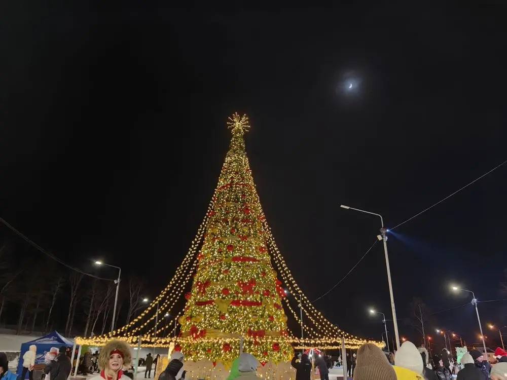 Ледяные фигуры, иллюминация, ёлка и каток Ледяные фигуры, иллюминация, ёлка и каток