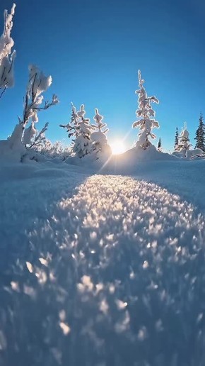 ������ ����!. ������� ���� ��������� ���������� ��������� � ���� ���� �������� ������������� ����������� ��������� ������ �������� (1934), ����� ������ ������ (1971 � 2002), ������ ������ (1901 � 1992) � ����� ��������...