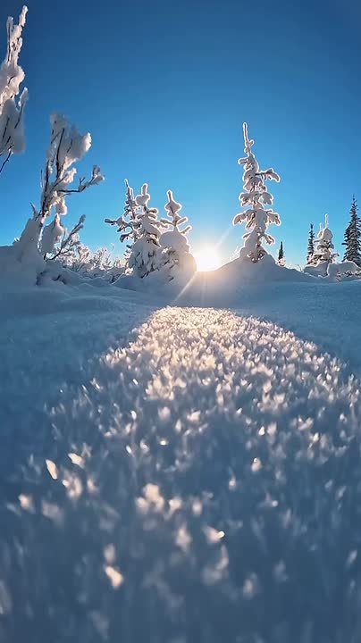 Доброе утро!. Сегодня День спасателя Российской Федерации В этот день родились девятикратная олимпийская чемпионка Лариса Латынина (1934), актёры Сергей Бодров (1971 — 2002), Марлен Дитрих (1901 — 1992) и Жерар Депардье...