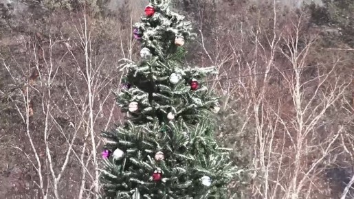 ������ ��������: ��� ���� ����� ����� � ������ ����