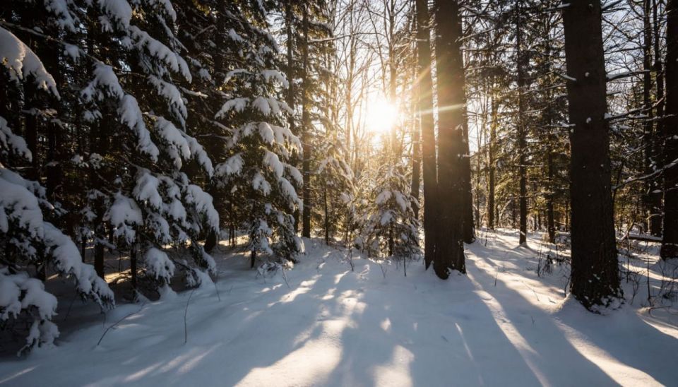 �� ������ �������� -29, � �� ������� - �������� �����������: ������� ������ ��� ����������� �������