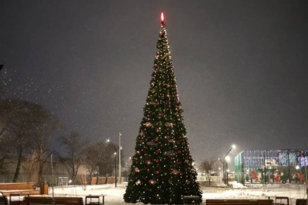 � ��������� ��������� ���������� �������� ����