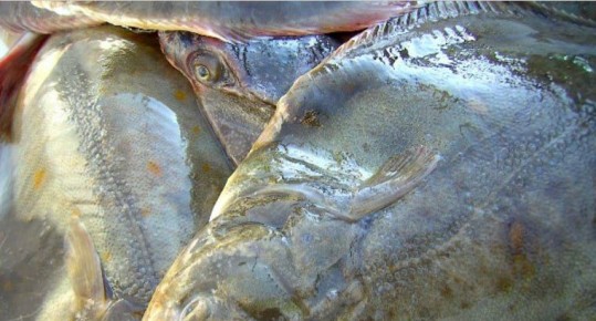 � ����-���������� ����� ������ ������ � ������� �� ��������� ����