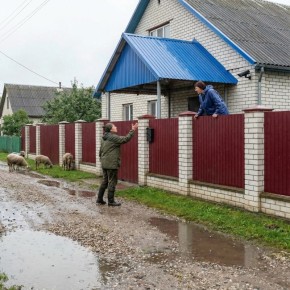 �������� � ����������������: ��� ������� ����������?