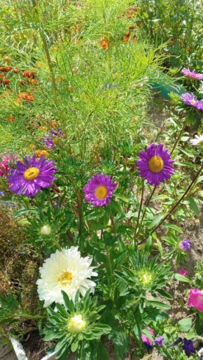 �� ������ ��� ��������� �����: ��� ��������� �������� �����������