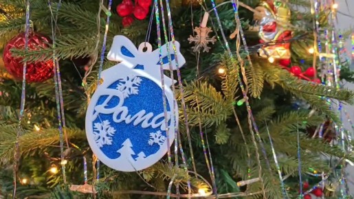 Вручила новогодние подарки с «Елки желаний» – исполнила мечты юных жителей Южно-Сахалинска Алены и Романа